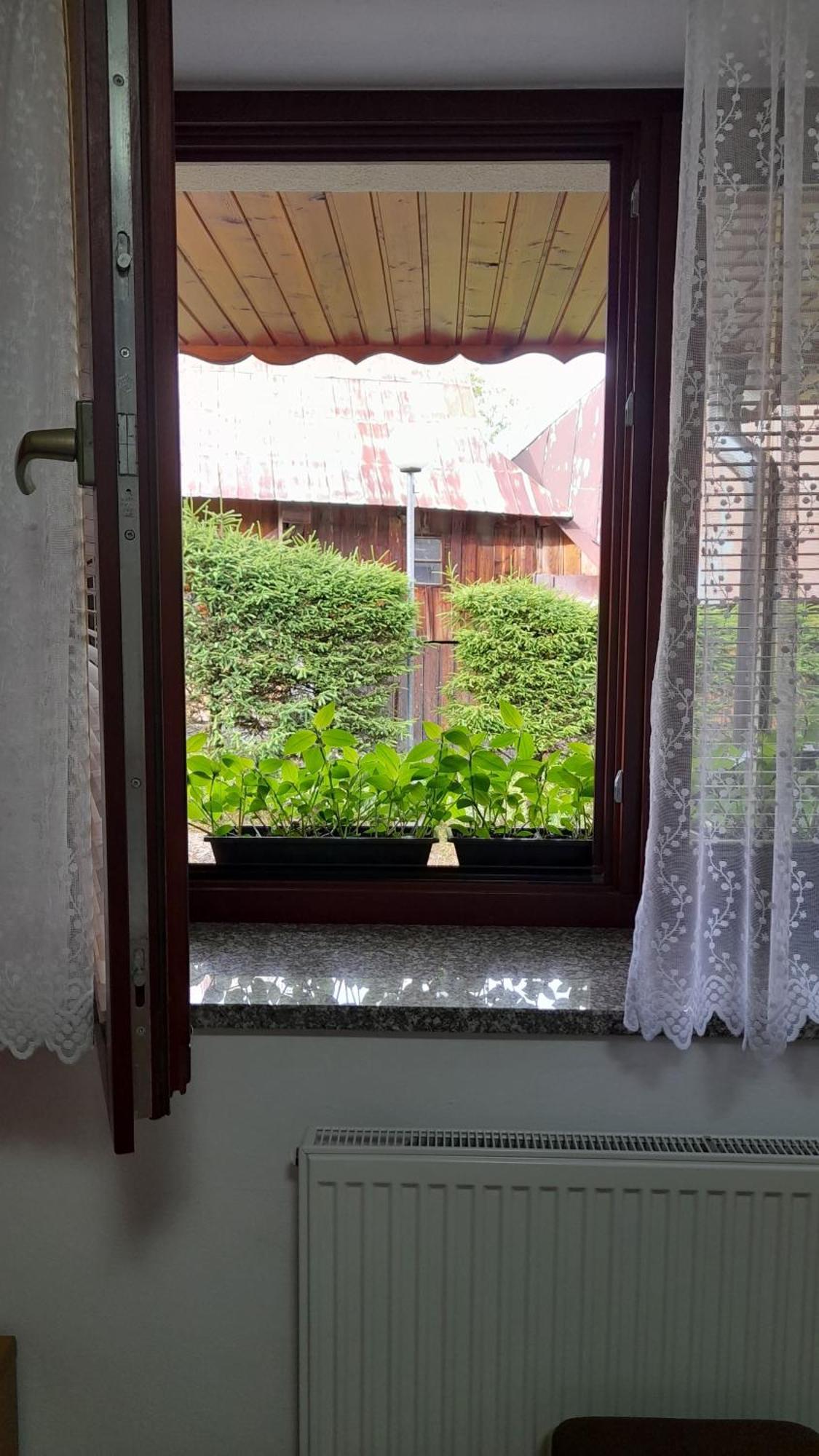 Penzion Bachleda Zdiar Bagian luar foto
